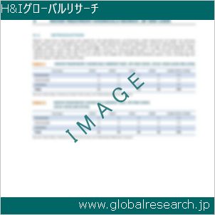 グローバルリサーチ調査レポートのイメージ